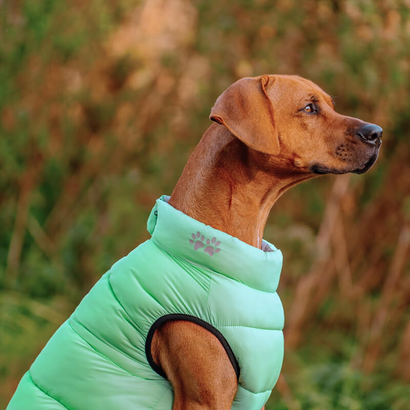 Nobby plašč Light, zelen in siv (4)