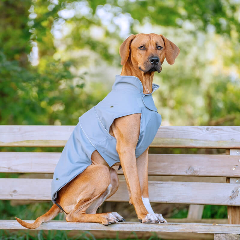 Nobby plašč Sela, siv (2)