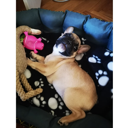Mr.Pet spletna trgovina