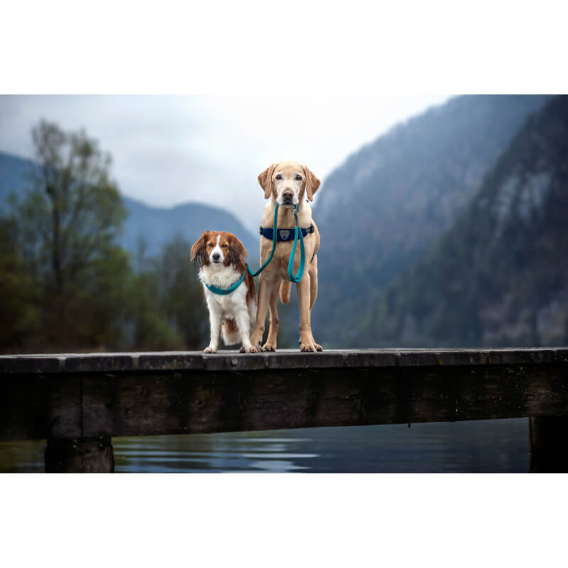 Coralpina nastavljiva oprsnica Cinquetorri - lila - različne velikosti (2)