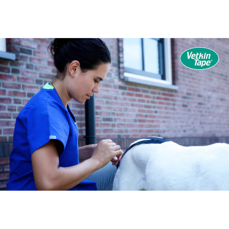 VetkinTape® kineziološki trak, moder - 5 m - 60 mm (3)
