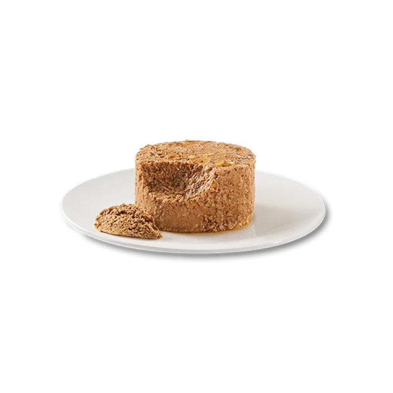Oasy Caprice Mousse Kitten piščanec, mousse v konzervi - 85 g (2)