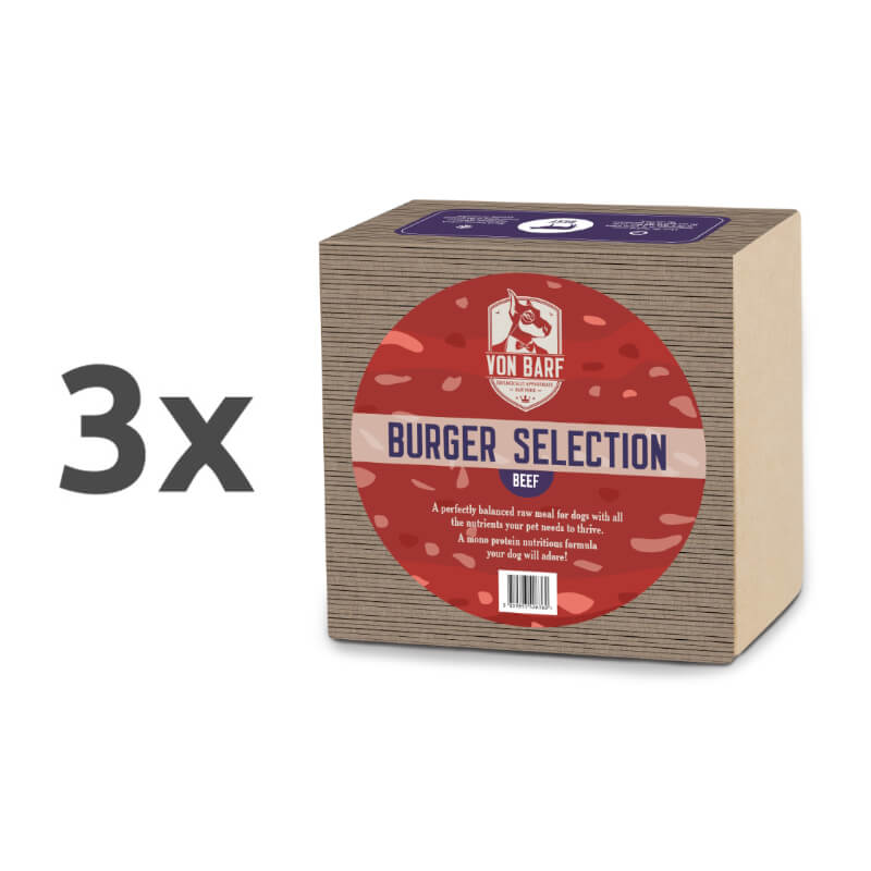 Von Barf Burger Selection, govedina - 1kg (5 x 200 g) - 3 x 1 kg