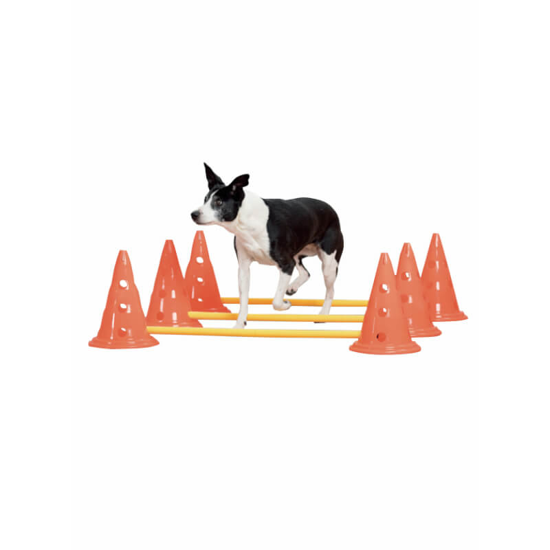 Pawise agility palice s stožci - 3 x 6 kos