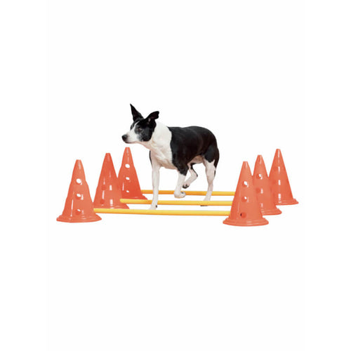 Pawise agility palice s stožci - 3 x 6 kos