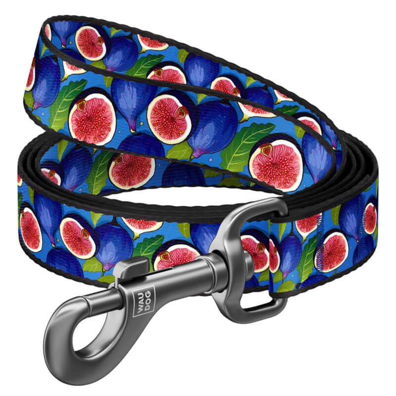 Waudog povodec Figa, moder - 122 cm - 15 mm