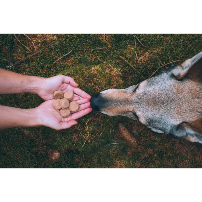 Carnilove Dog FreezeDried Raw Snack - jagnjetina, 60 g (2)