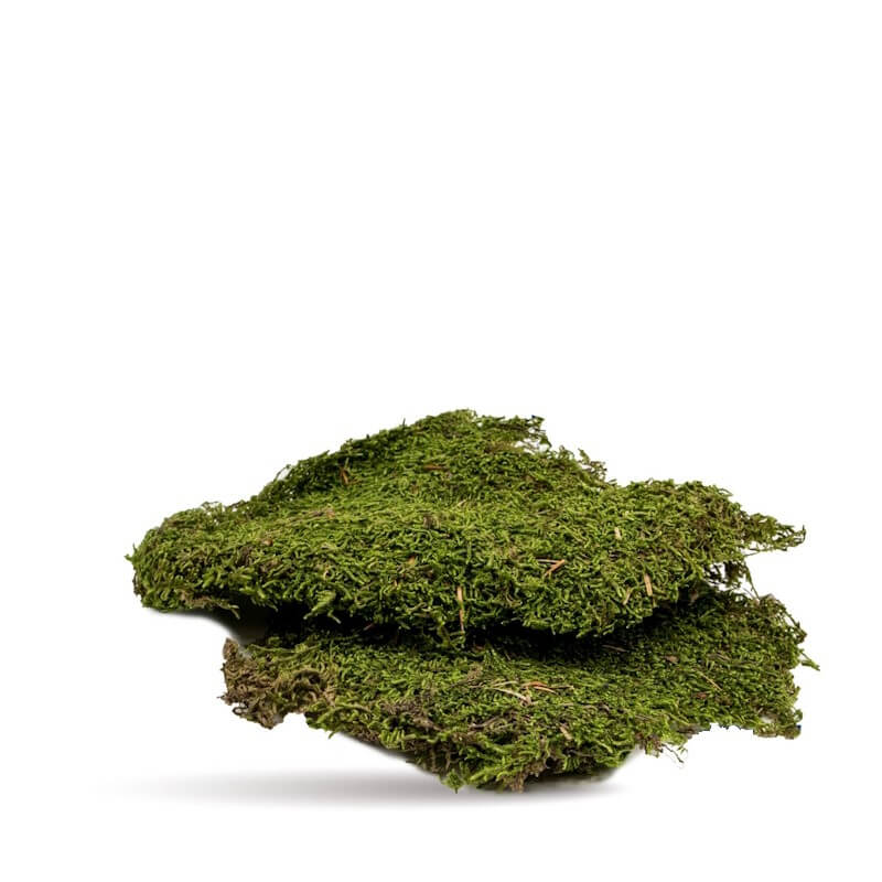 Terra Natura podlaga za terarije, mah - 50 g