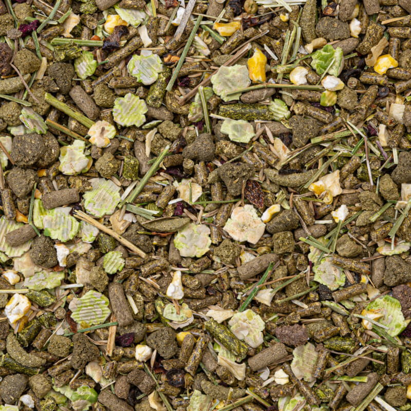 Deli Nature Rodelicious hrana za činčile in deguje - 2,5 kg (2)