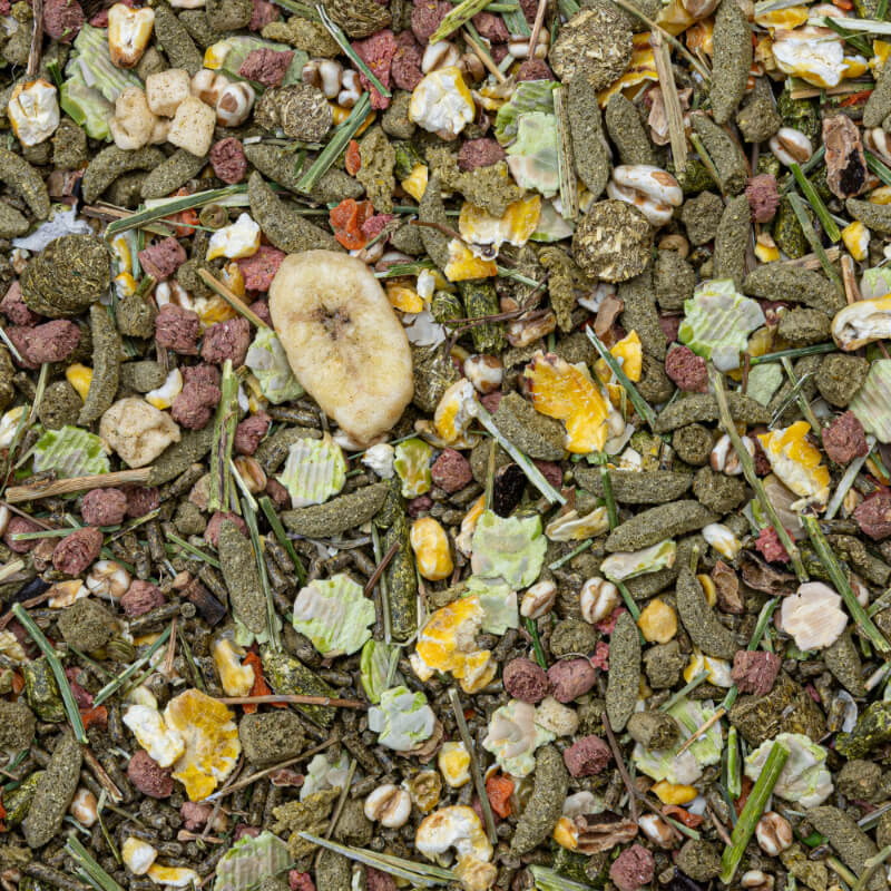 Deli Nature Premium hrana za morske prašičke - 0,8 kg (2)