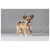Flamingo Puppy povodec Dolly, roza - 5 m / 4 mm (3)