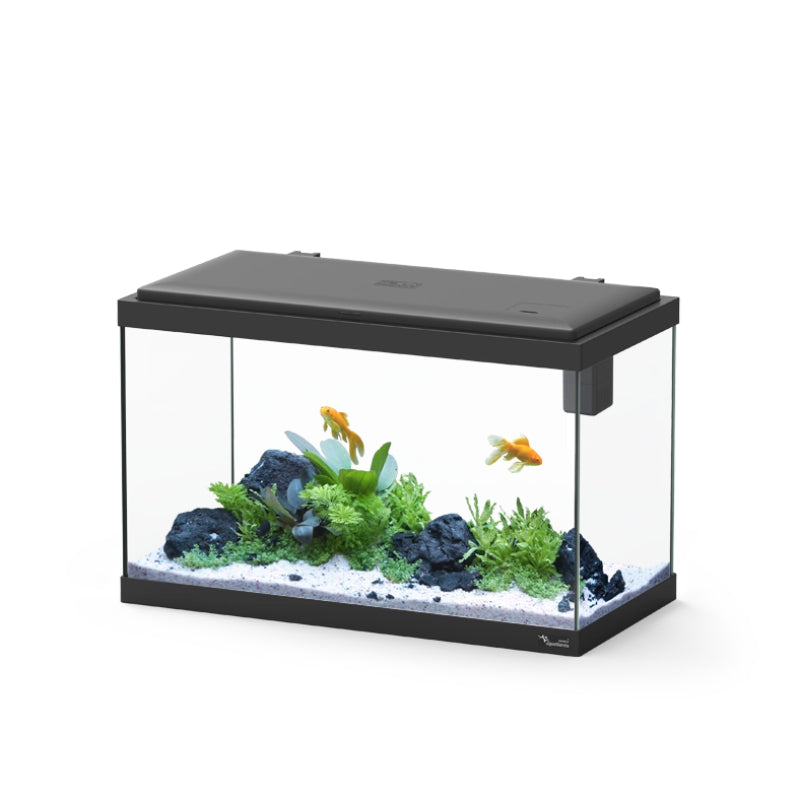 Aquatlantis akvarij Explorer Vienna LED Biobox, črn - 42 L / 50 x 25 x 33 cm