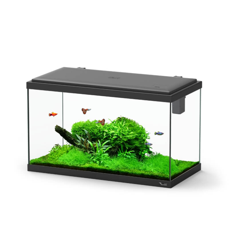 Aquatlantis akvarij Explorer Paris LED Biobox, črn - 58 L / 60 x 30 x 34 cm