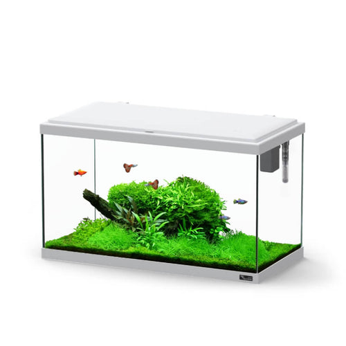 Aquatlantis akvarij Explorer Paris LED Biobox, siv - 58 L / 60 x 30 x 34 cm