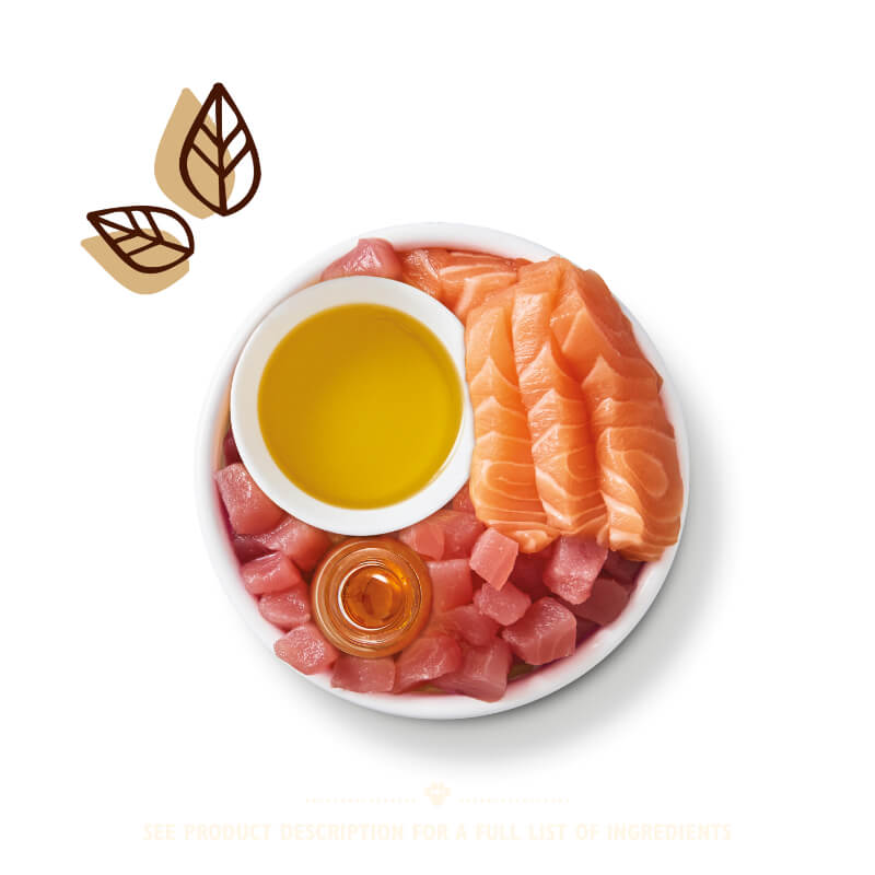 Lily's Kitchen Shredded Fillets koščki mesa v omaki - tuna in losos - 70 g (3)