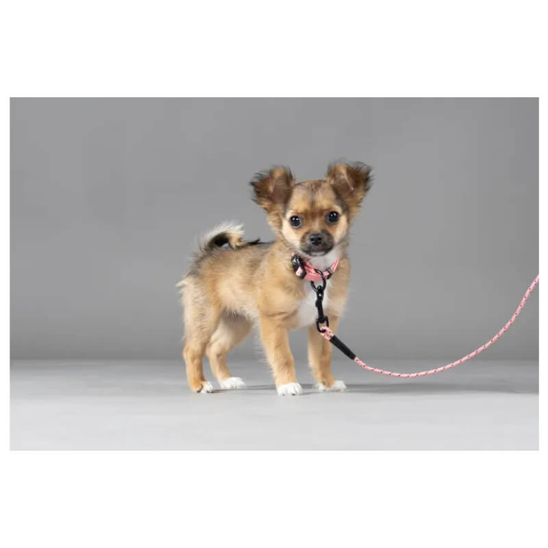 Flamingo Puppy ovratnica Dolly, roza - različne velikosti (2)