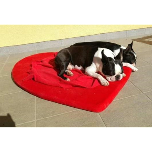 Mr.Pet spletna trgovina