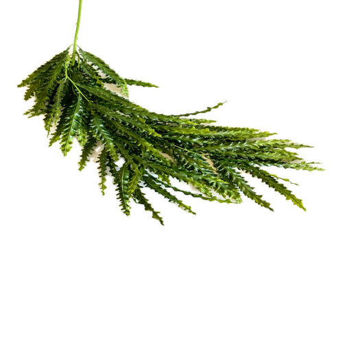 Sydeco umetni dekor Terra viseča praprot - 66 cm