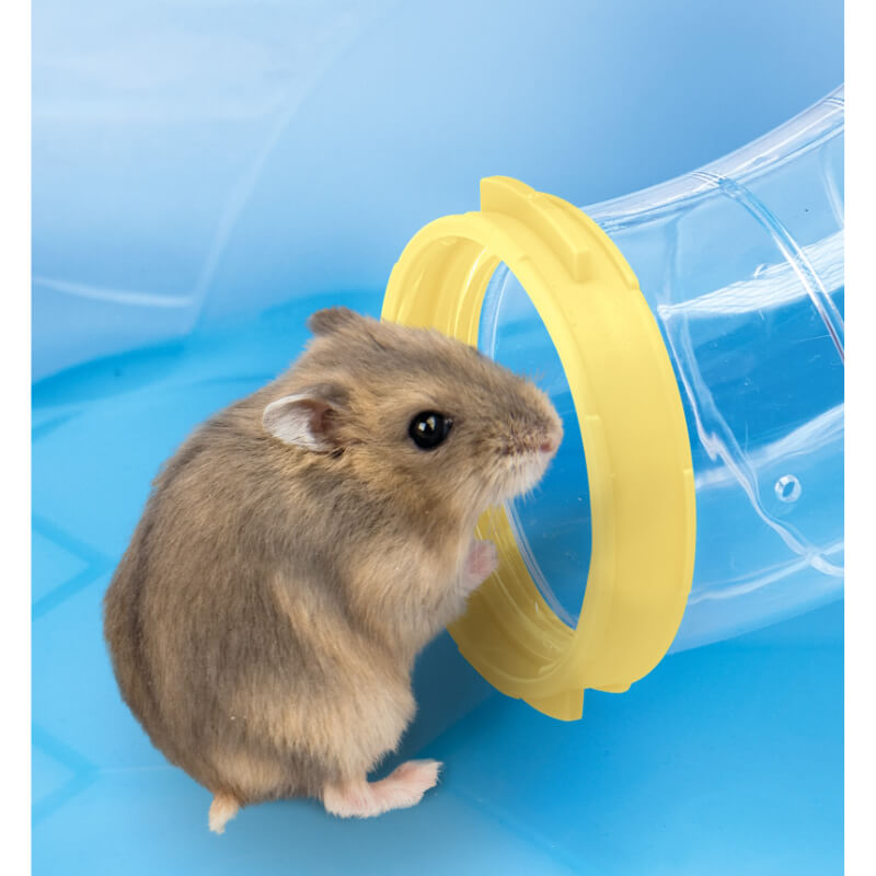 IMAC Fantasy opremljena kletka za hrčke, modra - 58,5 x 38 x 30 cm (5)