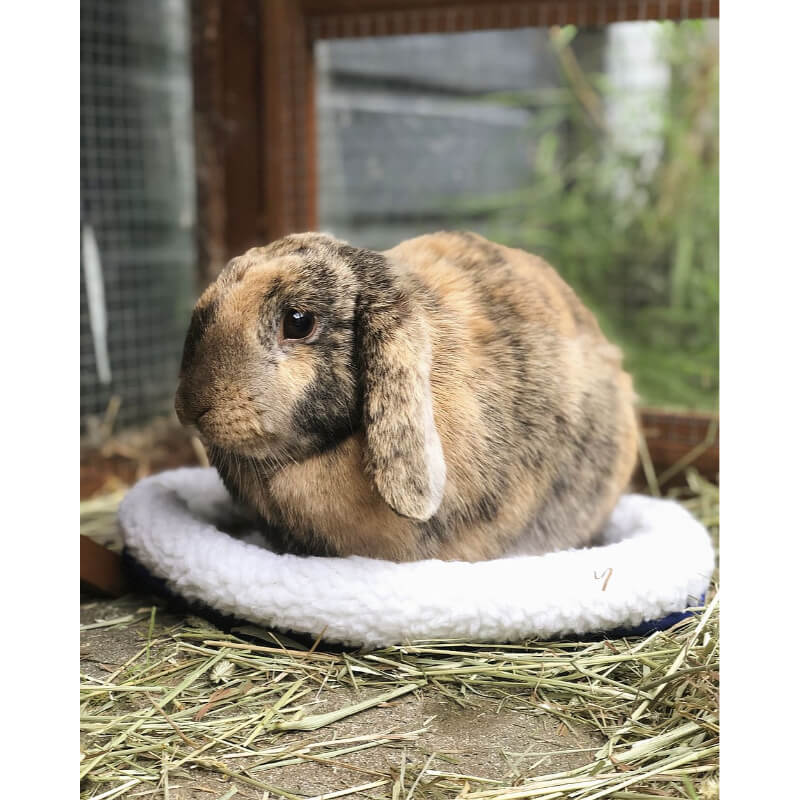 Nobby Fluffy okroglo ležišče za glodalce, belo - 30 x 26 cm (2)