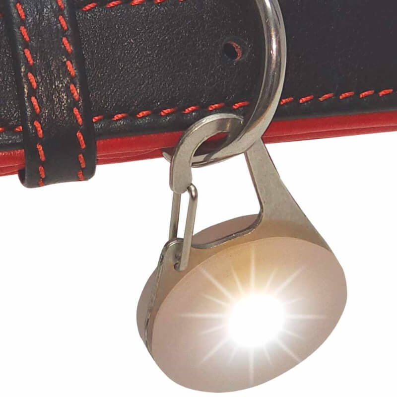 Nobby LED lučka Starlight za ovratnico, bela (2)