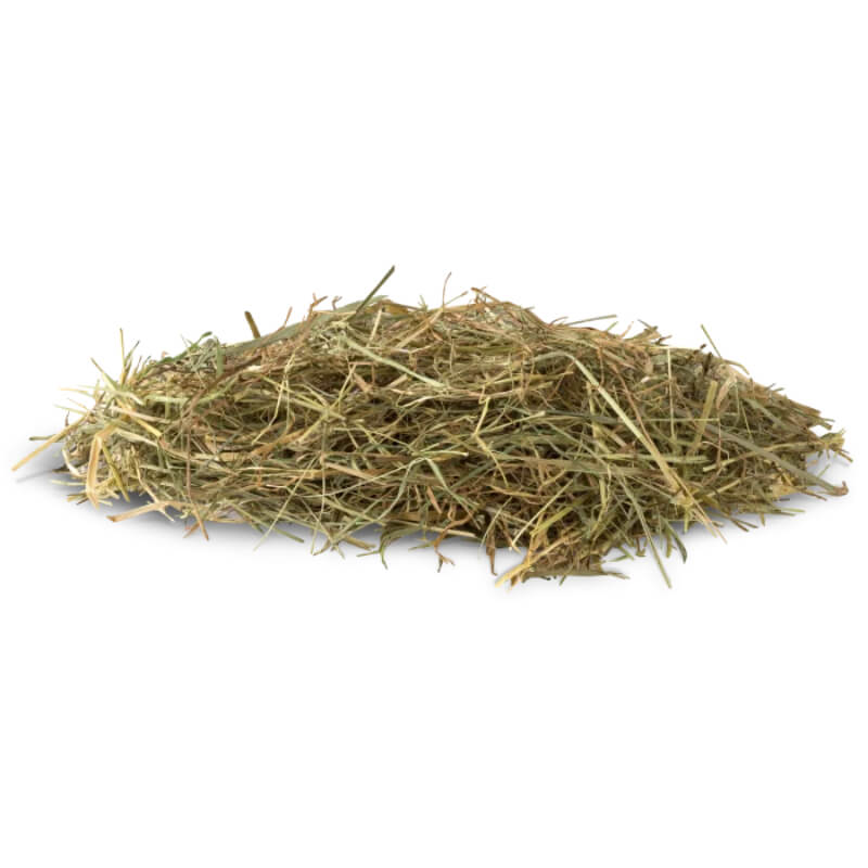 Vitakraft VitaVerde Alpenwiesen-Heu, alpsko travniško seno - 1 kg (2)