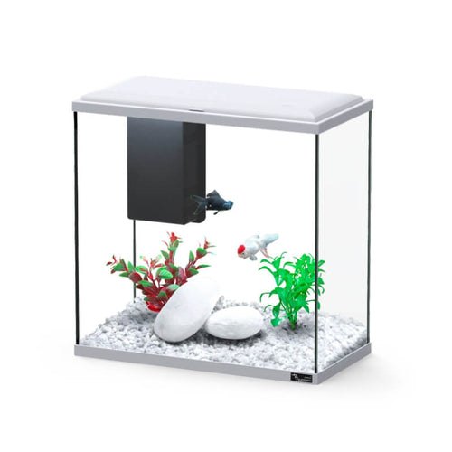 Aquatlantis akvarij Explorer Dublin LED Biobox, siv - 34 L / 40,5 x 20,5 x 40,8 cm
