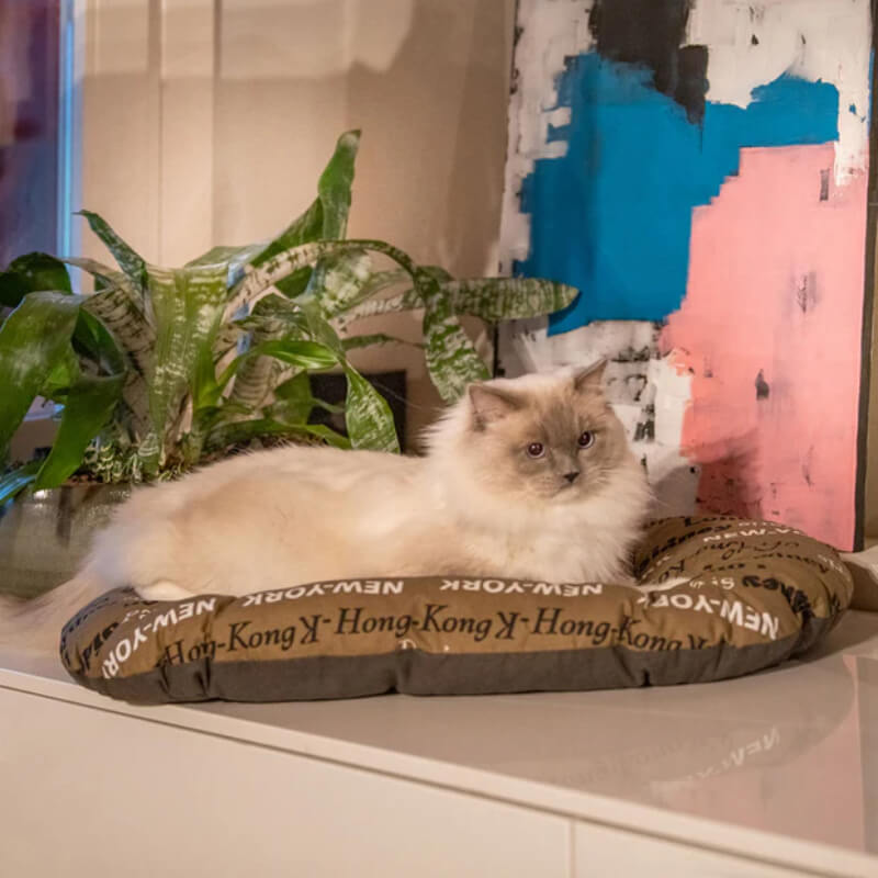 Ferplast ovalna blazina Relax C Cities, rjava - 55 x 36 cm (4)