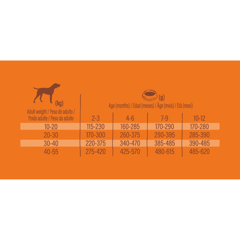 Nature's Variety Healthy Grains Dog Med/Max Puppy - piščanec (2)