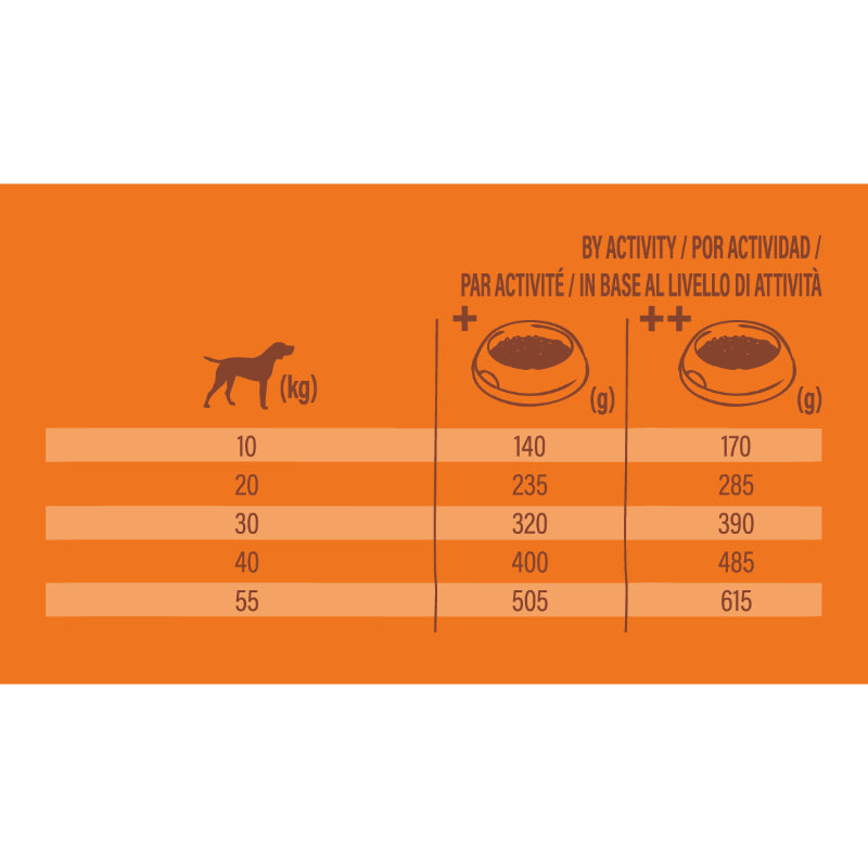Nature's Variety No Grain Dog Med/Max Adult - piščanec (2)