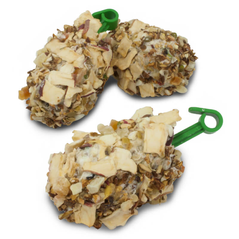 JR Farm posladek za ptice v obliki palčk, koruza in sadje - 90 g (2)