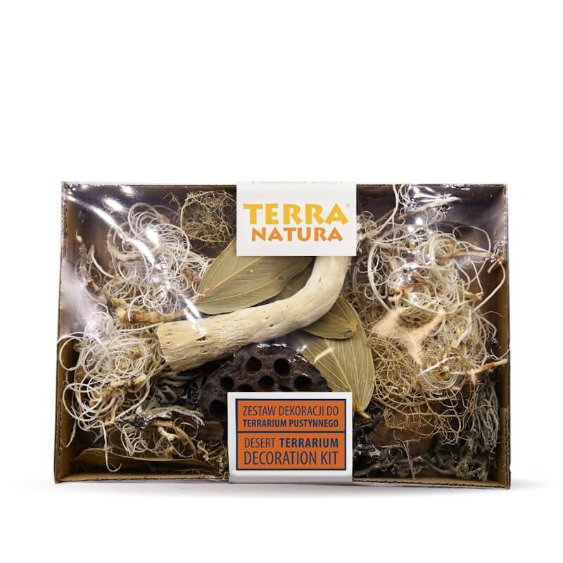 Terra Natura dekorativni set Desert za terarije - 6 kos