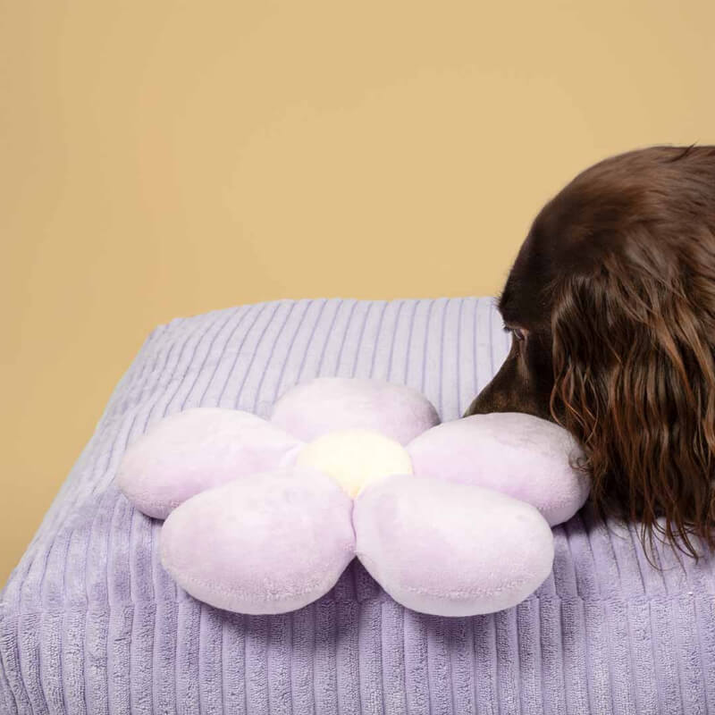 Coockoo plišasta rožica Fun Flower, vijolična - 23 x 21 x 5 cm (3)