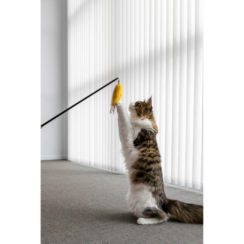 Flamingo teleskopska palica Nouk z obeskom, različne barve - 61-142 cm (5)