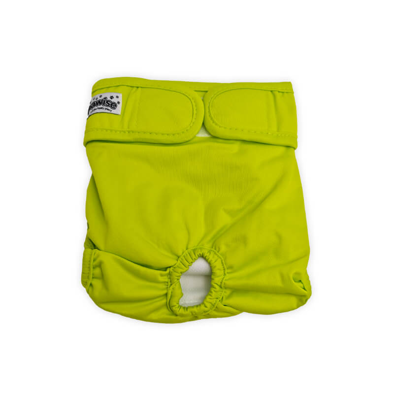 Pawise pralne plenice za pse živahnih barv, 3 kos - različne velikosti (2)