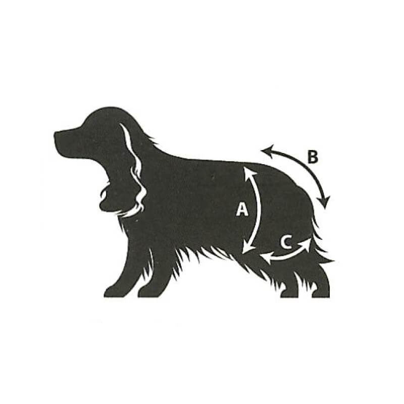 Pawise pralne plenice za pse živahnih barv, 3 kos - različne velikosti (6)