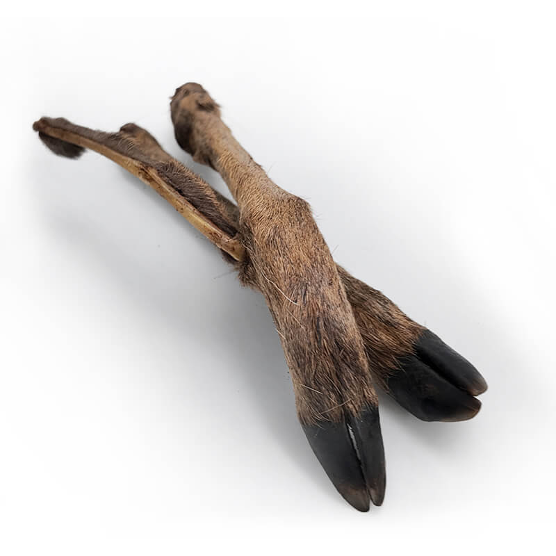 WolfPack srnine noge z dlako - 2 kos