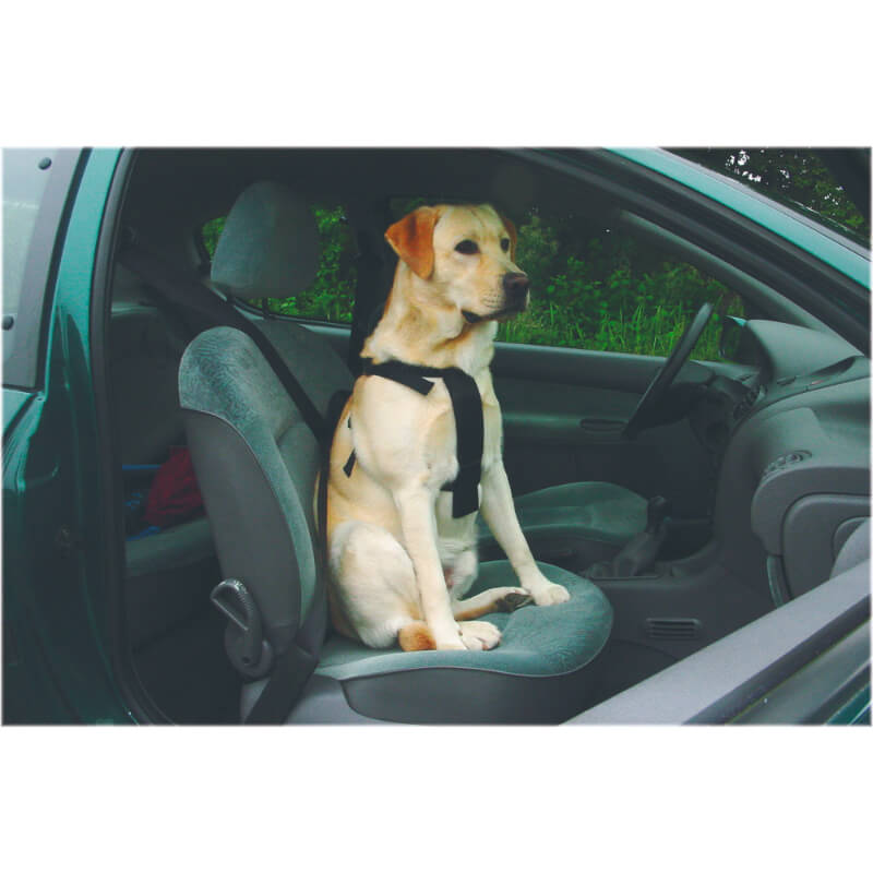 Beeztees oprsnica za v avto, S (2)