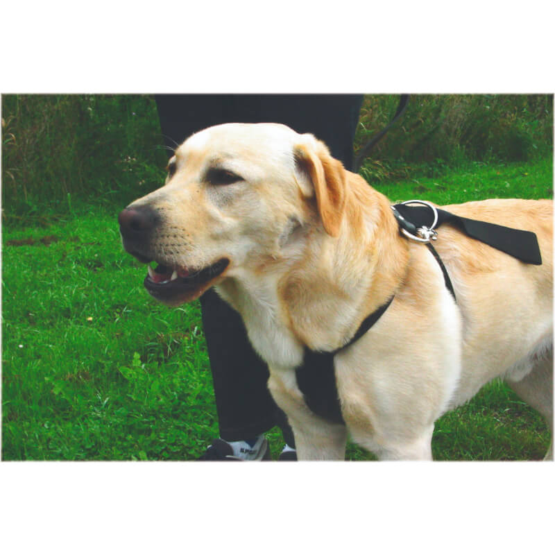 Beeztees oprsnica za v avto, S (3)