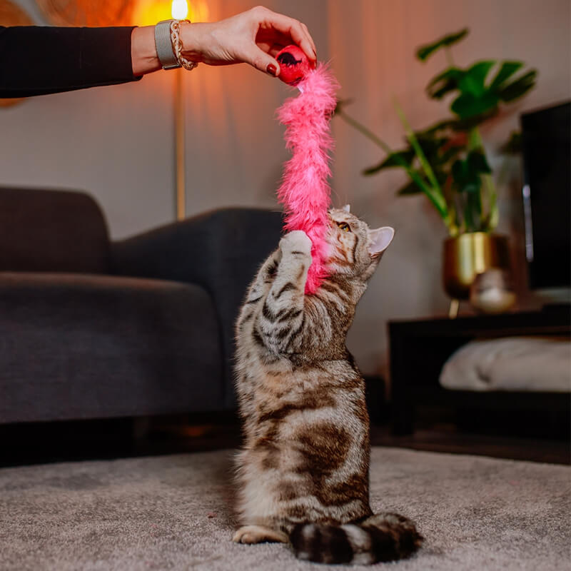 Nobby plišasta žogica za mačke s perjem, roza - 24 cm (2)