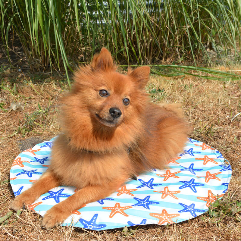 Duvo okrogla hladilna blazina, različne barve - 60 cm (9)