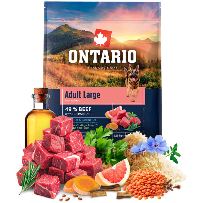 Ontario Adult Large - govedina in rjavi riž (4)