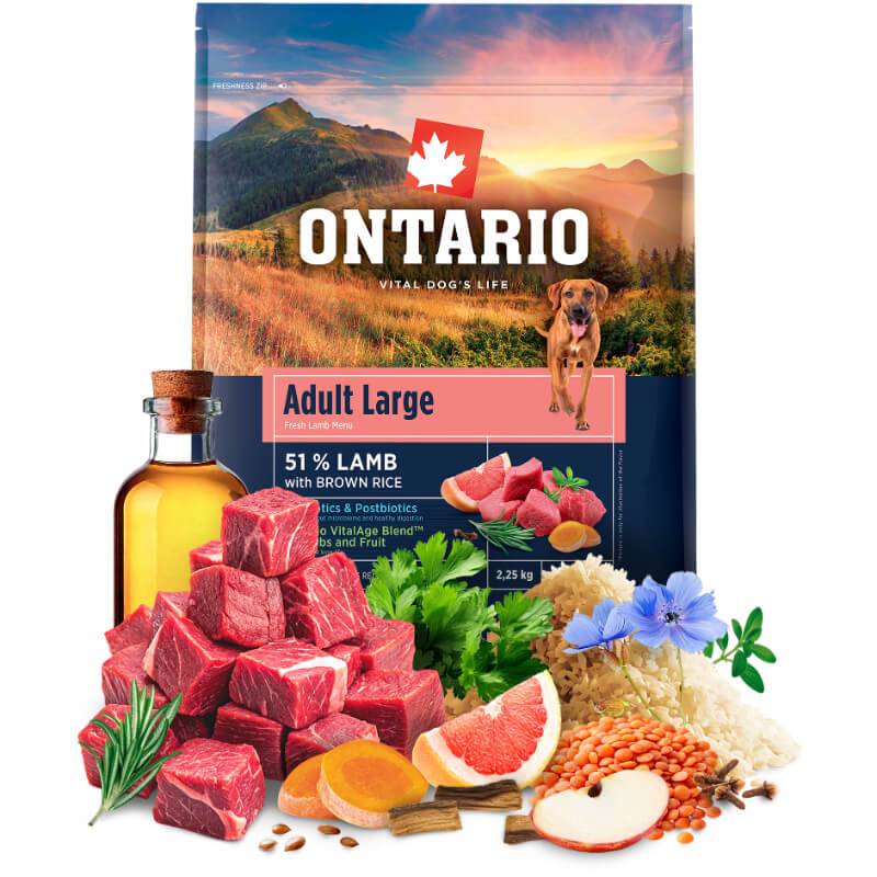 Ontario Adult Large - jagnjetina in rjavi riž (4)