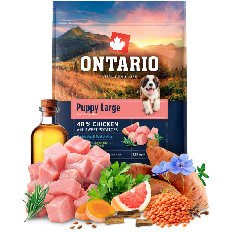 Ontario Puppy Large - piščanec in sladki krompir (4)