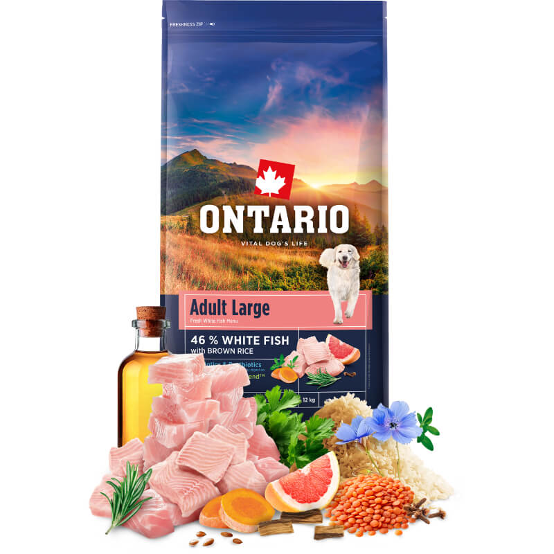 Ontario Adult Large - bela riba in rjavi riž (4)