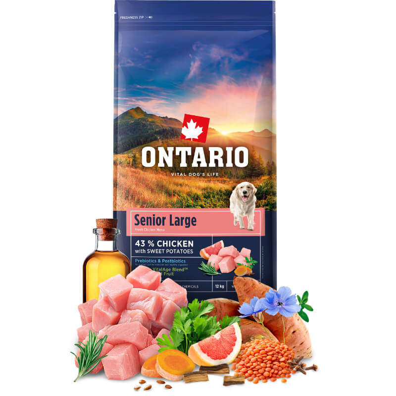 Ontario Senior Large - piščanec in sladki krompir (4)