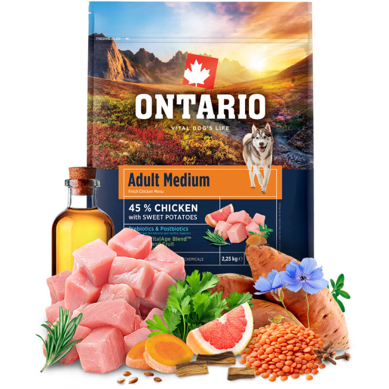 Ontario Adult Medium - piščanec in sladki krompir (4)