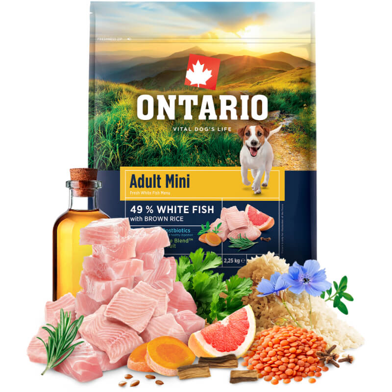 Ontario Adult Mini - bela riba in rjavi riž (4)