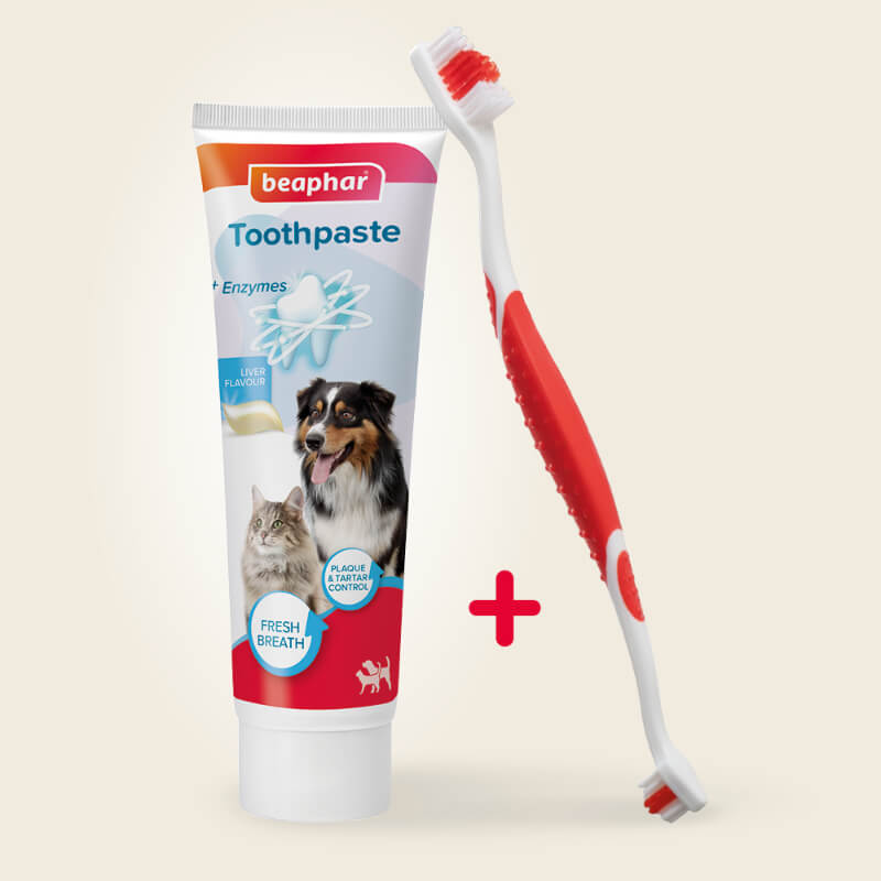 Beaphar set dvojne zobne ščetke in encimske zobne paste - 100 g (2)