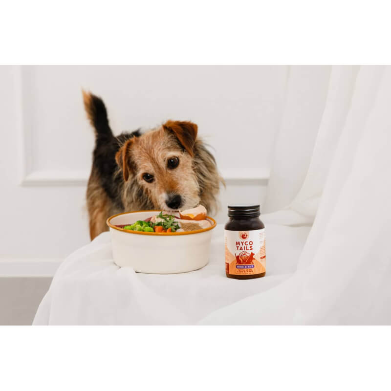 Myco Tails Mind&Gut prehranski dodatek za pse in mačke - 80 g (3)